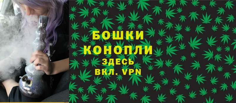 как найти закладки  Злынка  кракен   Бошки Шишки OG Kush 